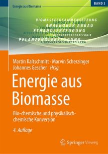 Energie aus Biomasse. Band 3